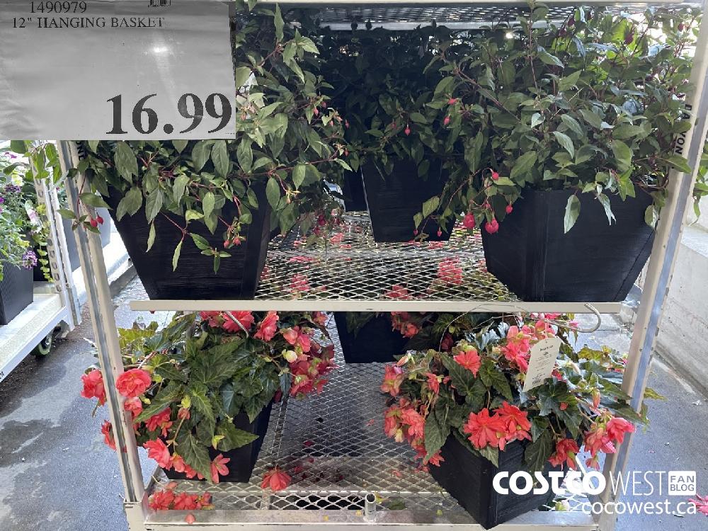 Costco Spring Aisle 2021 Superpost! The Entire Plants and Garden