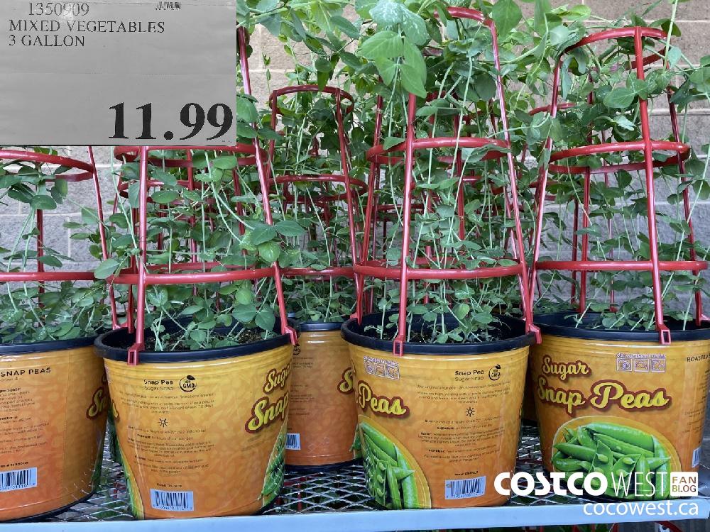 1350909 MIXED VEGETABLES 3 GALLON $11.99