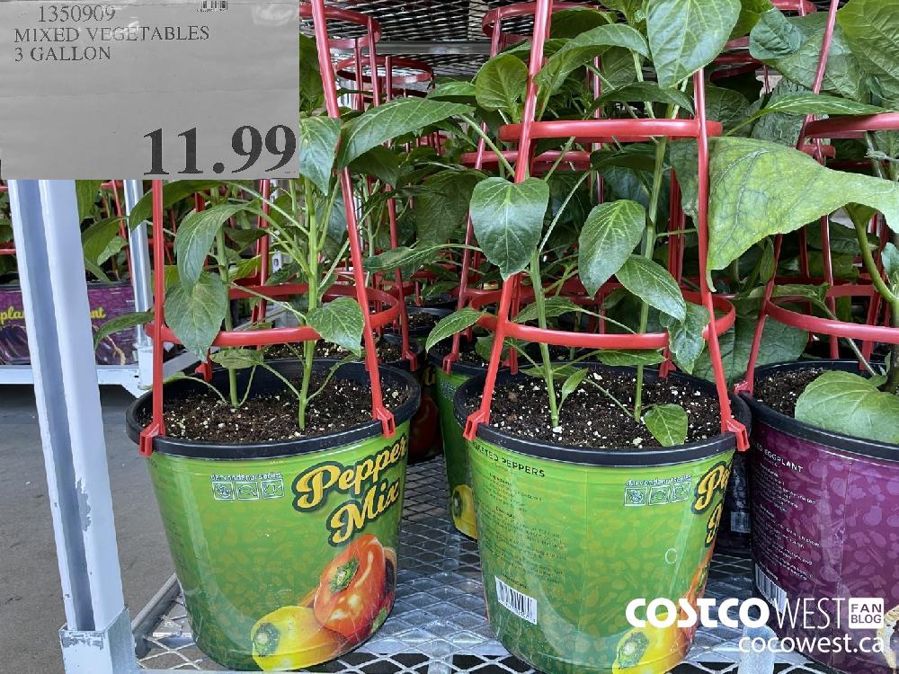 1350909 MIXED VEGETABLES 3 GALLON $11.99