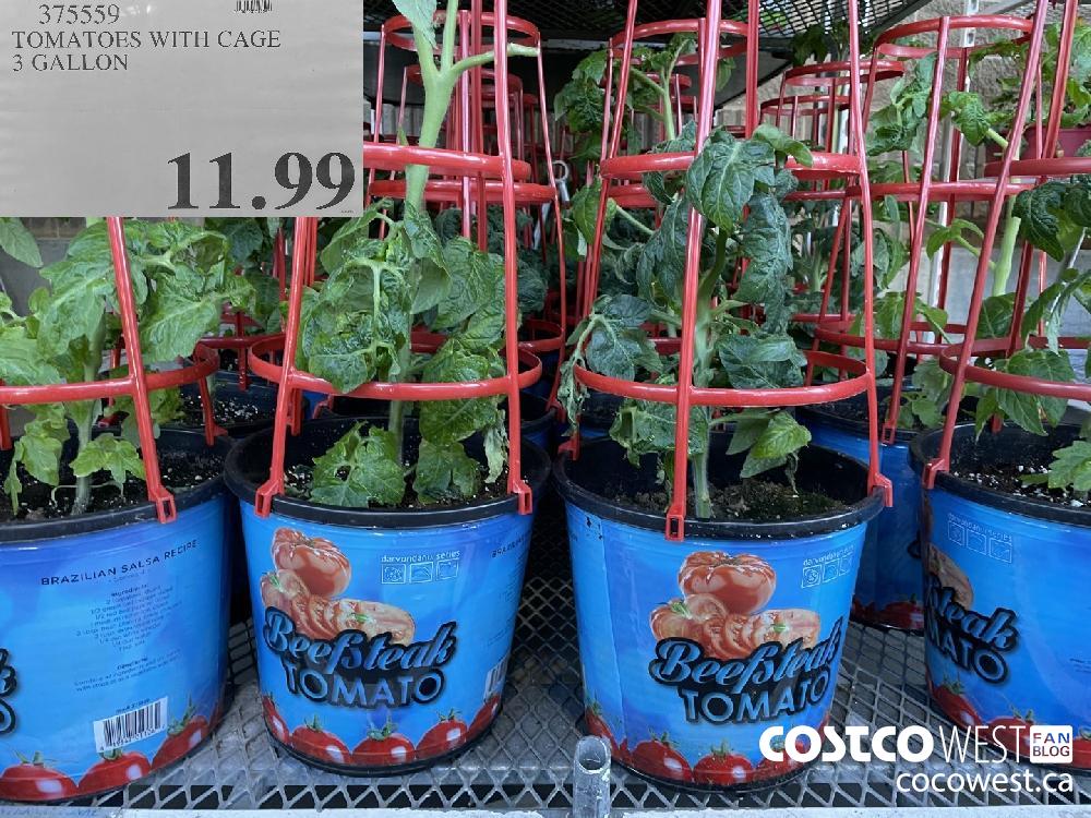 Costco Spring Aisle 2021 Superpost! The Entire Plants and Garden