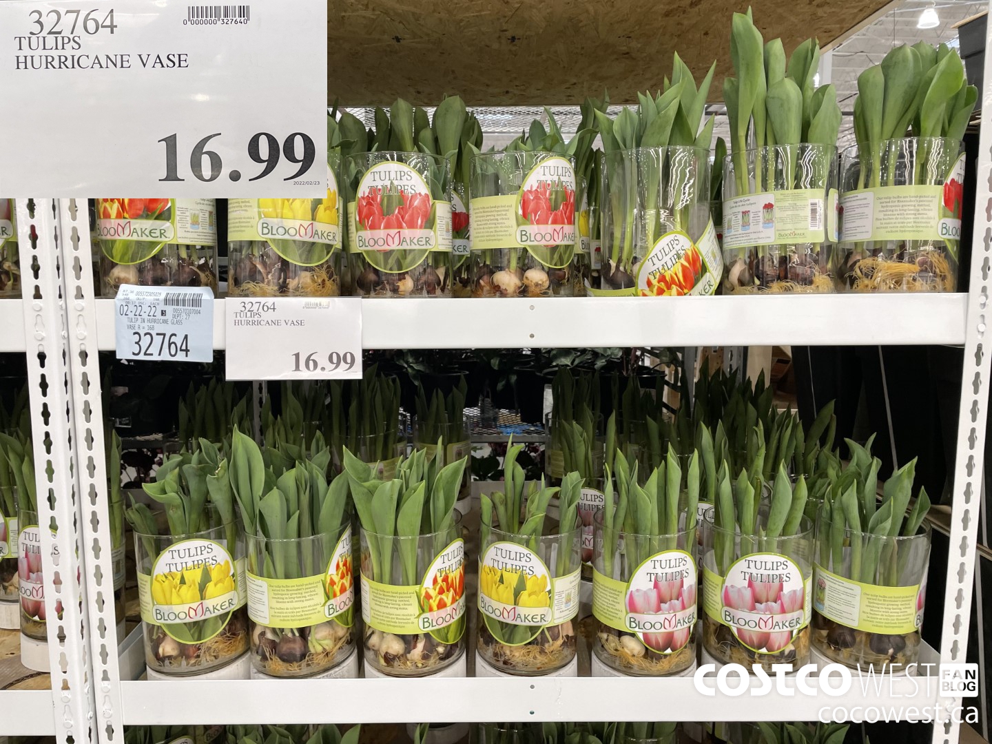 Costco West Fan Blog Secret Weekly Sale Items for BC, Alberta