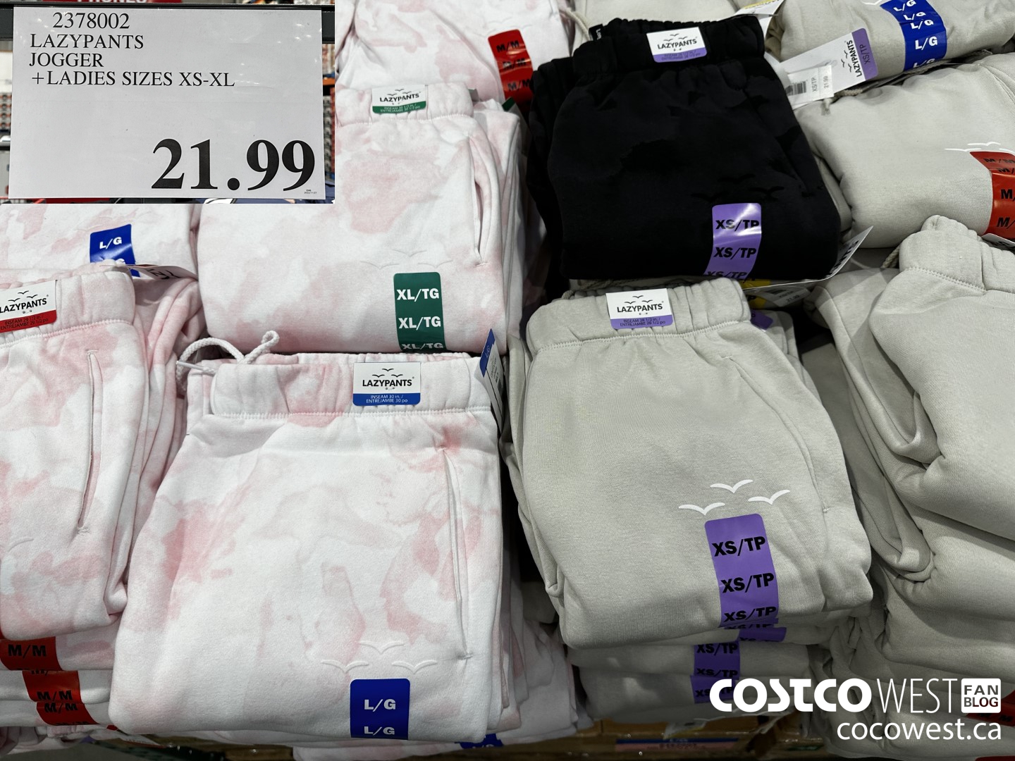 Costco.ca] Costco Lazy Pants Joggers (back in stock) $23.99